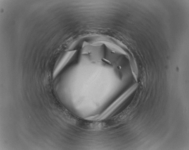 X0000068890225200605261854