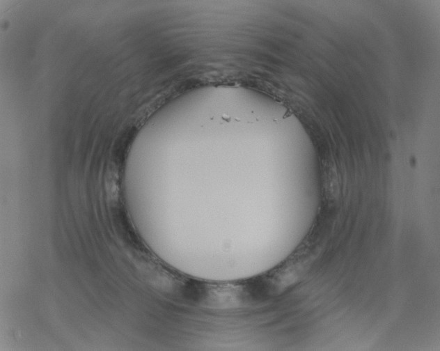 X0000068890226200605261854