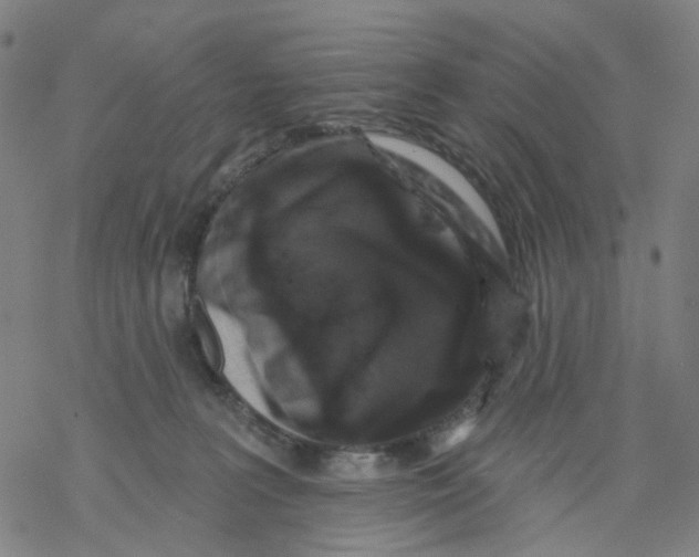 X0000068890227200605261854