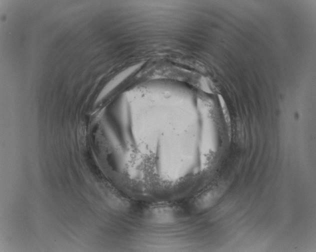 X0000068890228200605261854