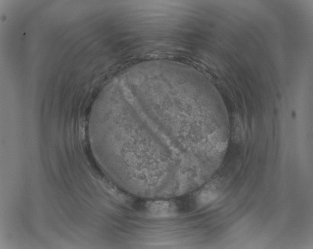 X0000068890230200605261854