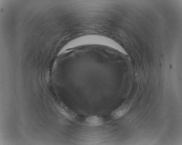 X0000068890231200605261854