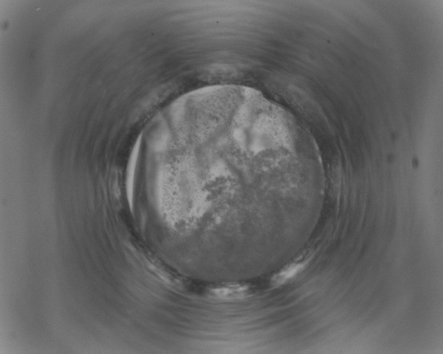 X0000068890232200605261854