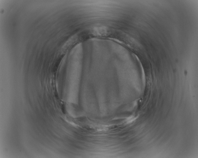 X0000068890233200605261854