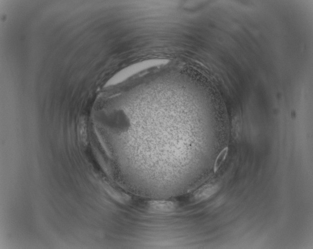 X0000068890234200605261853