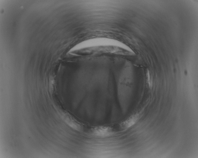 X0000068890235200605261853