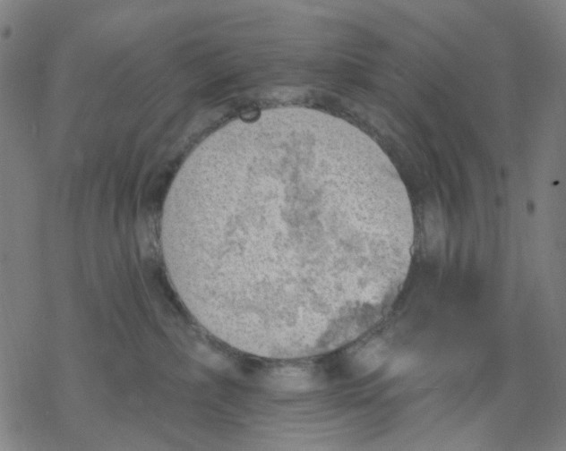 X0000068890236200605261853