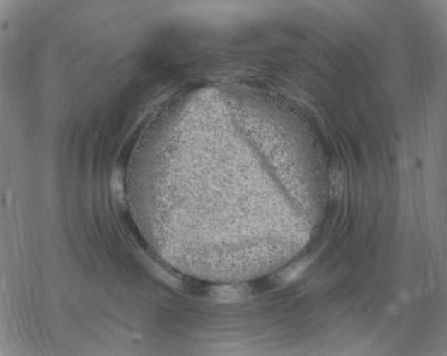 X0000068890238200605261853