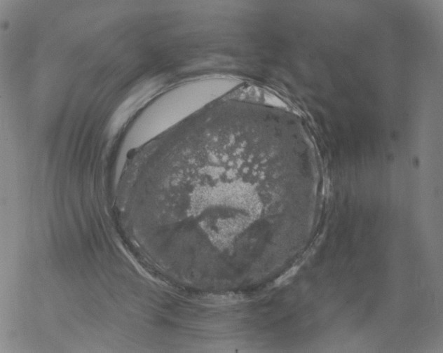 X0000068890245200605261853