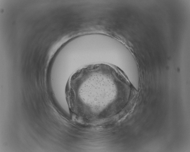 X0000068890248200605261853