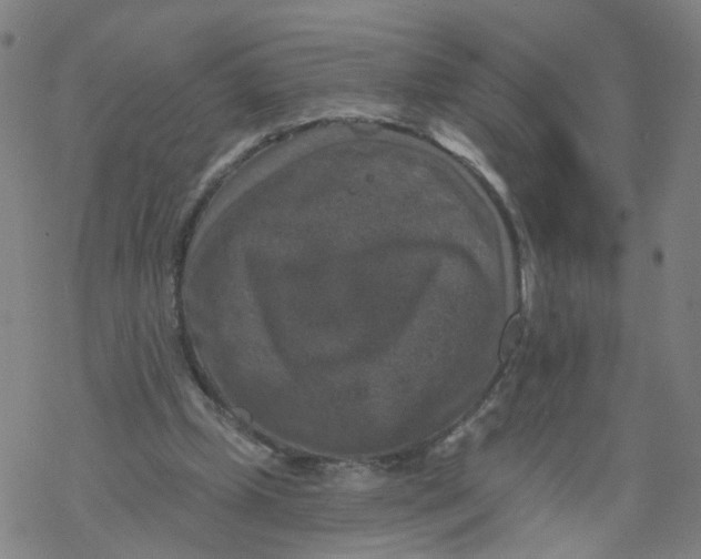 X0000068890249200605261853