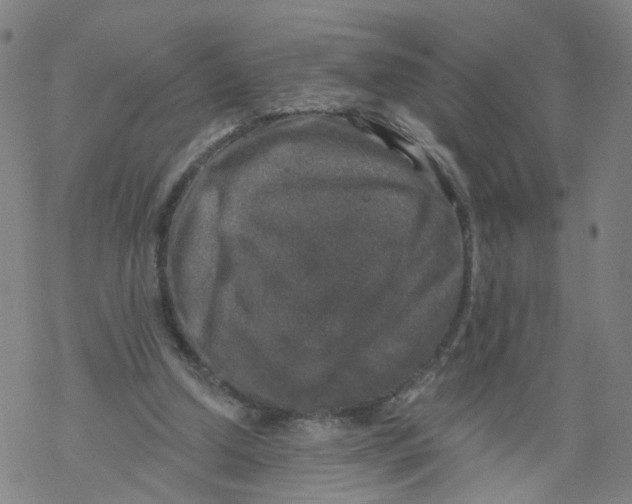 X0000068890250200605261853