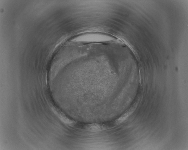 X0000068890253200605261853