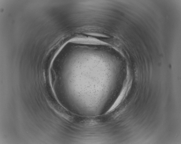 X0000068890254200605261853