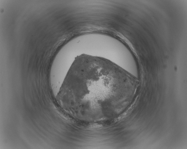 X0000068890257200605261853