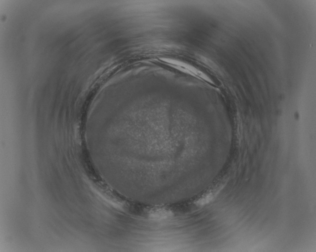 X0000068890258200605261853