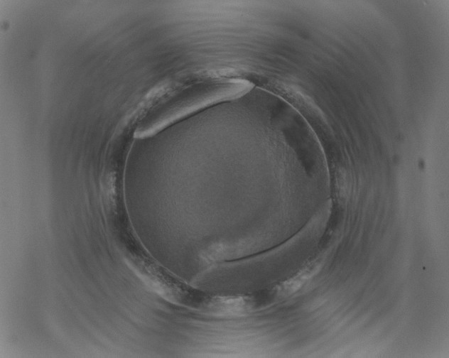 X0000068890260200605261853