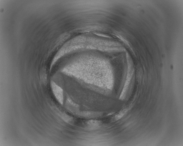 X0000068890261200605261853