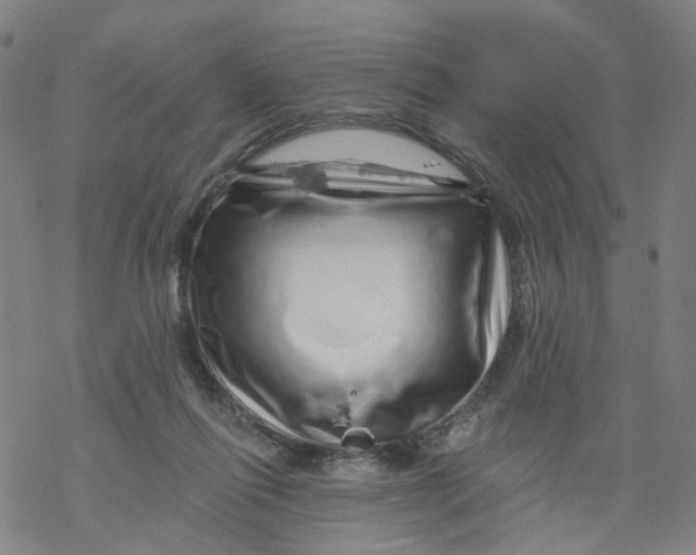 X0000068890262200605261853