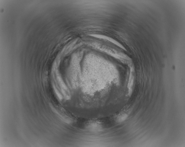 X0000068890263200605261853