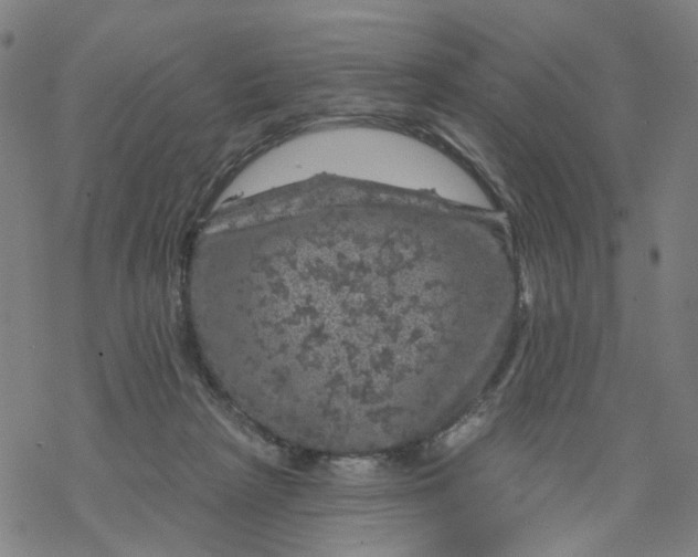 X0000068890265200605261853