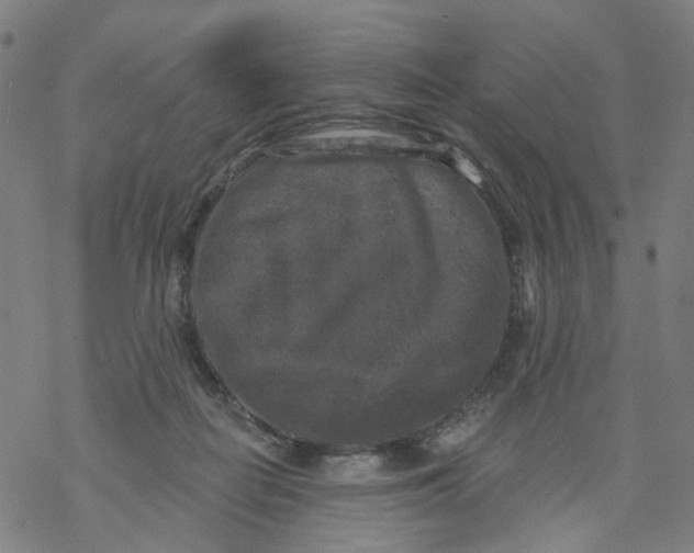 X0000068890266200605261853