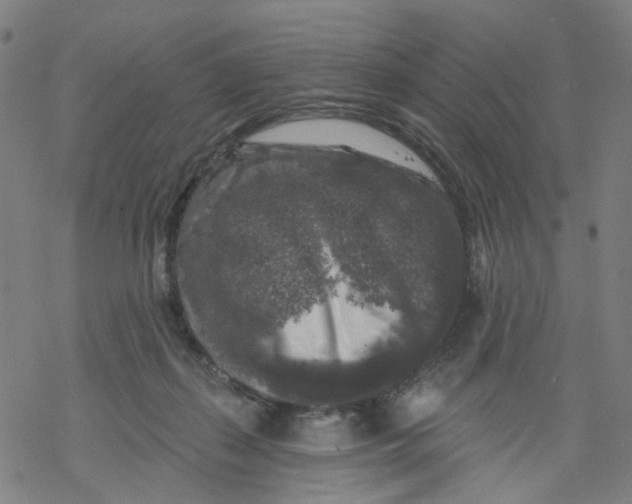 X0000068890267200605261853