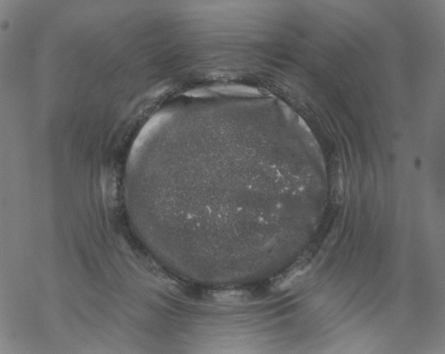 X0000068890268200605261853