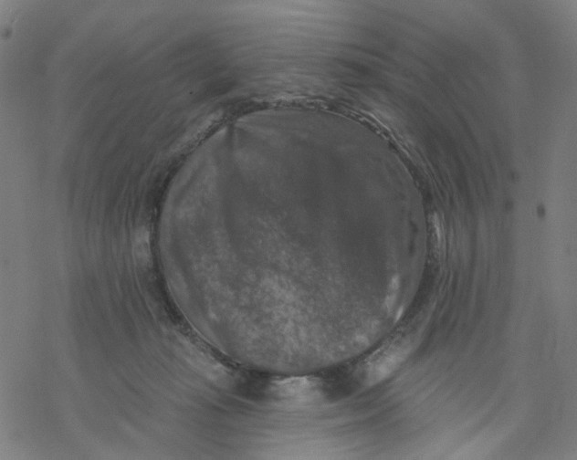 X0000068890269200605261853