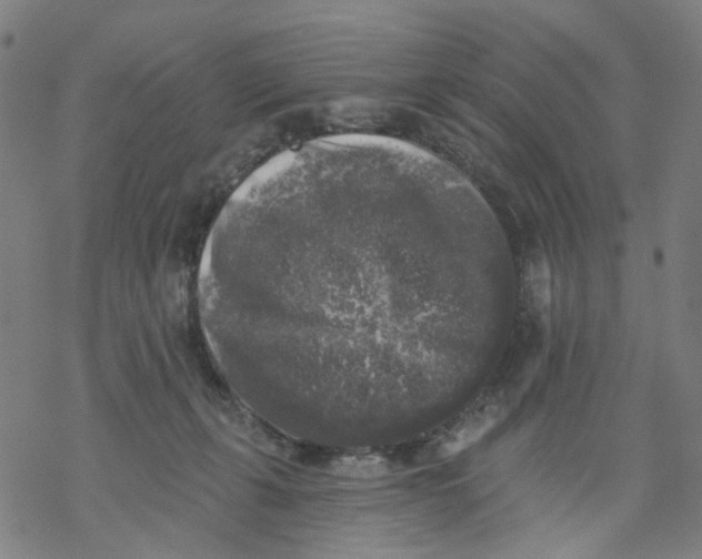 X0000068890271200605261853