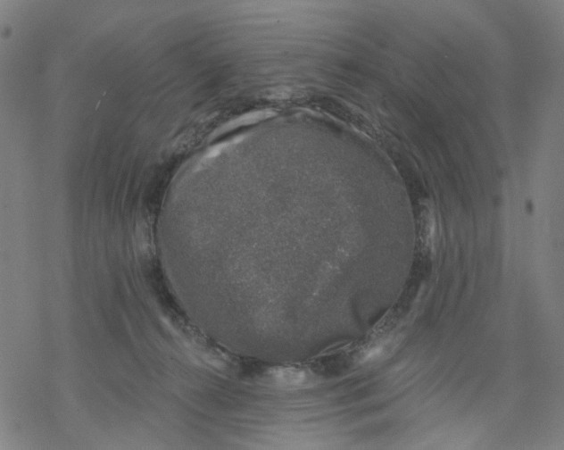 X0000068890272200605261853