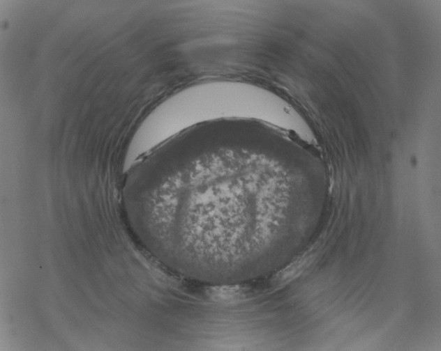 X0000068890273200605261853