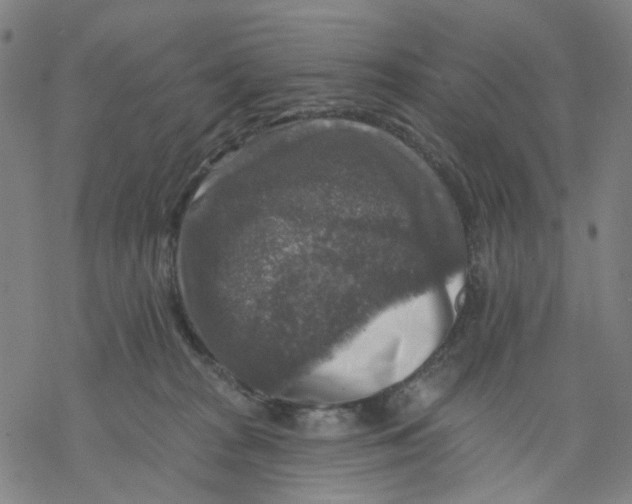 X0000068890277200605261853