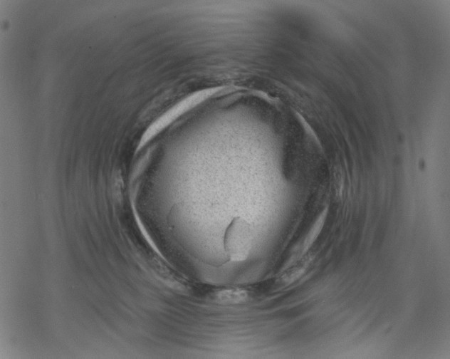 X0000068890279200605261853