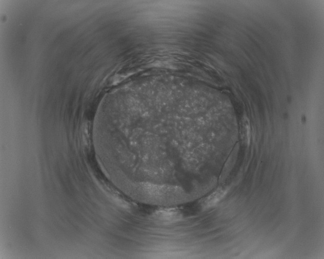 X0000068890280200605261853