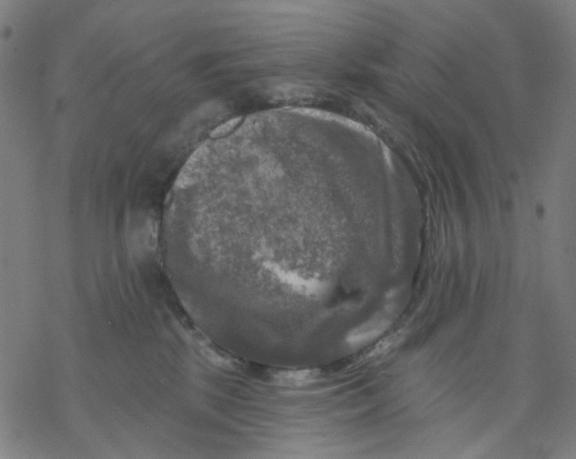 X0000068890281200605261853