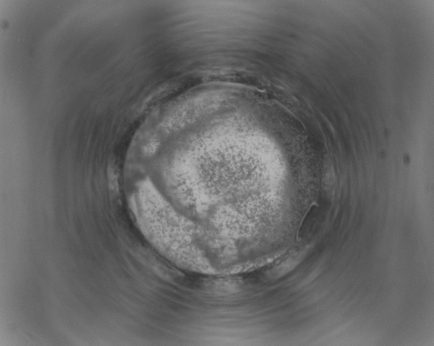 X0000068890282200605261853