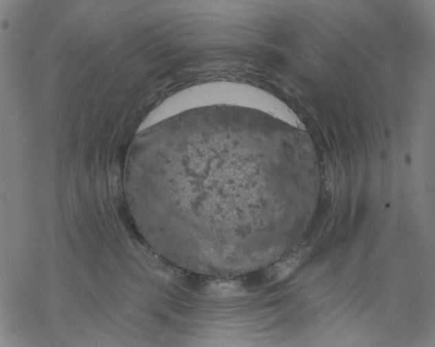 X0000068890283200605261853