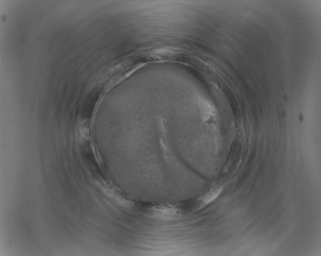 X0000068890284200605261853