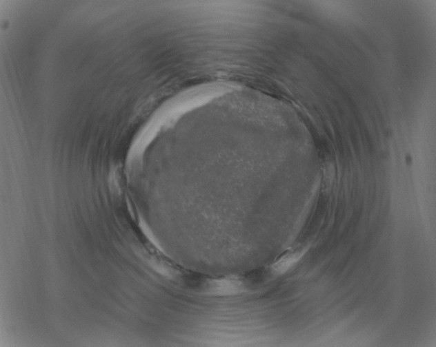 X0000068890286200605261853