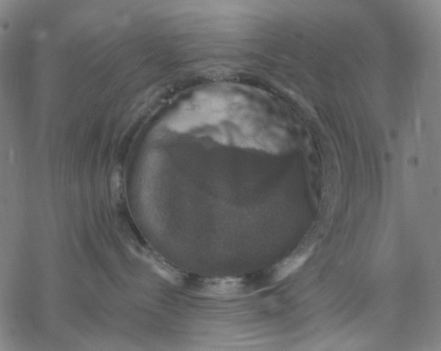 X0000068890288200605261853