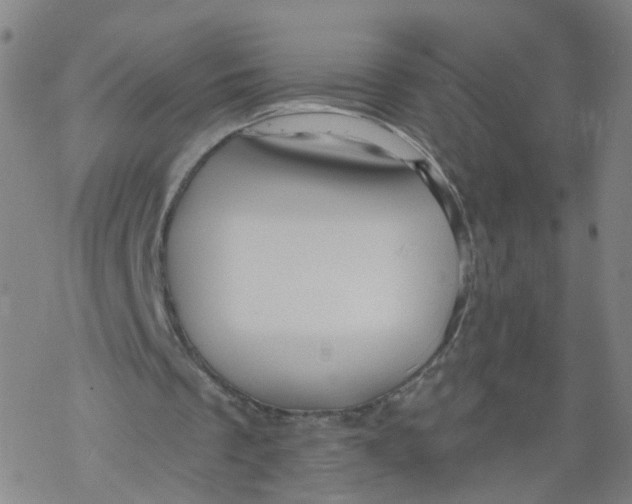 X0000068890289200605261853