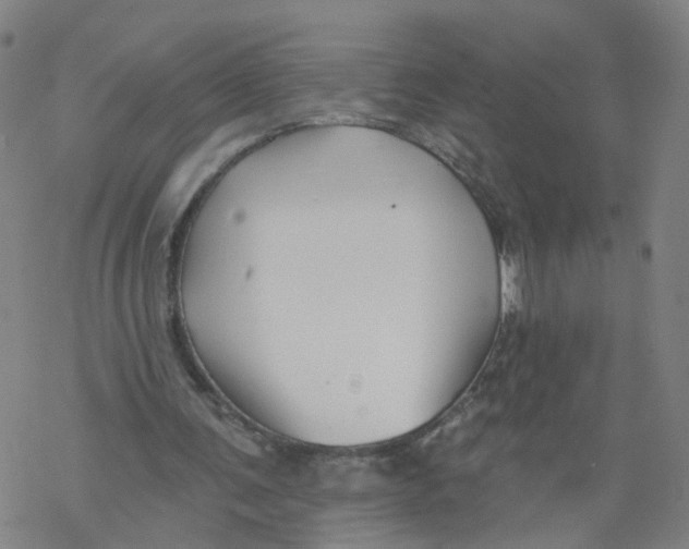 X0000068890291200605261853