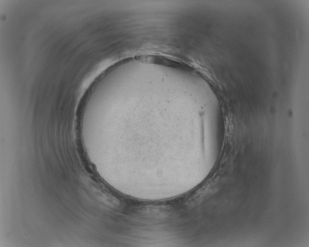 X0000068890292200605261853