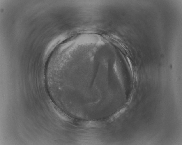 X0000068890293200605261853