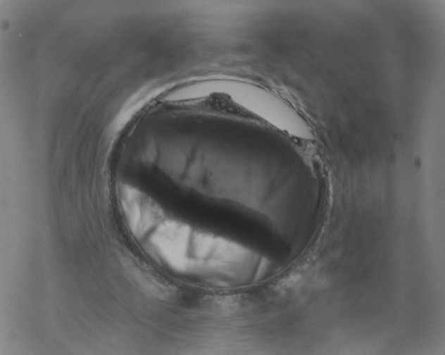 X0000068890295200605261853