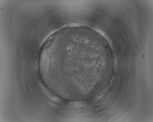 X0000068890297200605261852