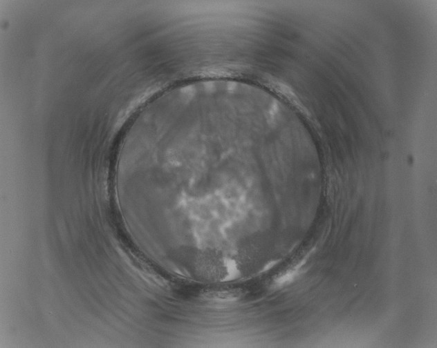 X0000068890299200605261852