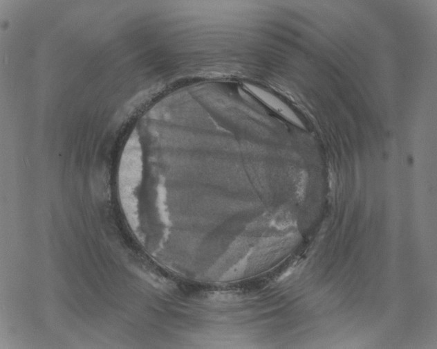 X0000068890303200605261852