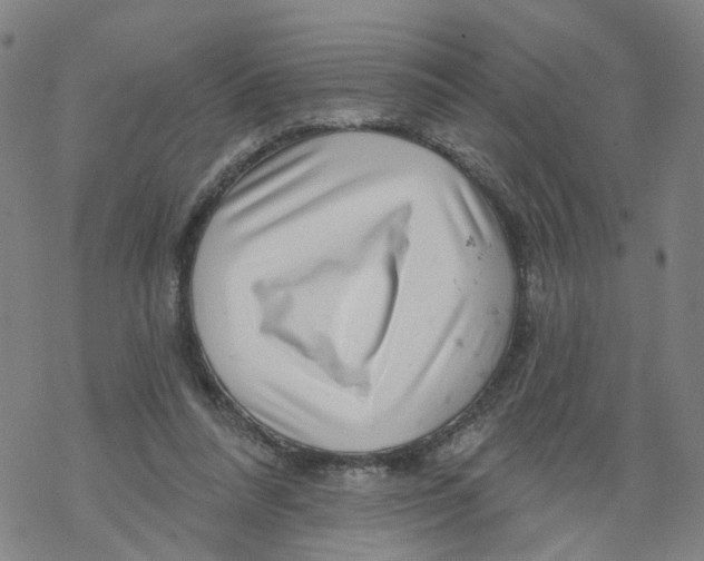 X0000068890304200605261852